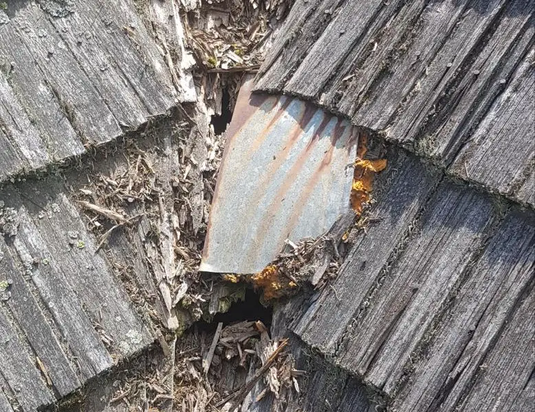 Remont dachu, diagnoza i detale uszkodzeń